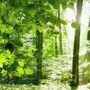 zzc0037 江門雙龍廣場大飯店優惠