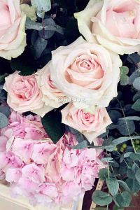 JiaJia 上海迪士尼樂園酒店優惠