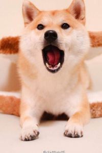 VVDeng 有戲電影飯店（廈門火車站萬象城店）優惠