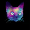 Avatar 1