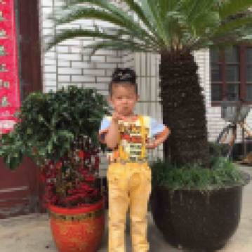 Zhuzhu