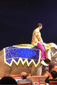 Yue～wei 威斯汀丹佛國際機場酒店優惠