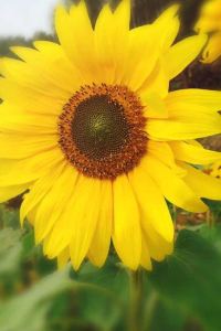 Duanwangyefeihuangzu 深圳光明新城亞朵飯店優惠