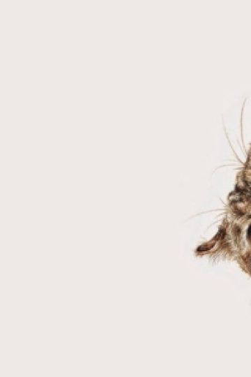 1382619**** 香港帝國酒店優惠