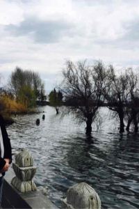 Zhijian 香格里拉大酒店優惠