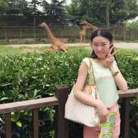 小绿1330