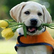 Allan-Guo 如家飯店·neo（深圳羅湖口岸國貿地鐵站店）優惠