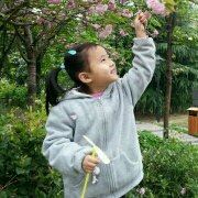 sl690430 ダイワロイネットホテル横浜公園 クーポン