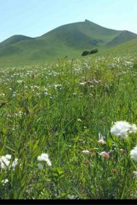 xrbx 瓜隆島皇家金沙酒店優惠