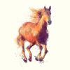 user-icon