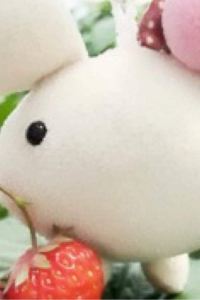 리뷰어