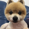 問森