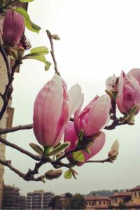 rayno 洲至奢選香港WM飯店優惠