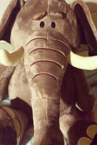 205316**** 寧波東錢湖華茂希爾頓酒店優惠