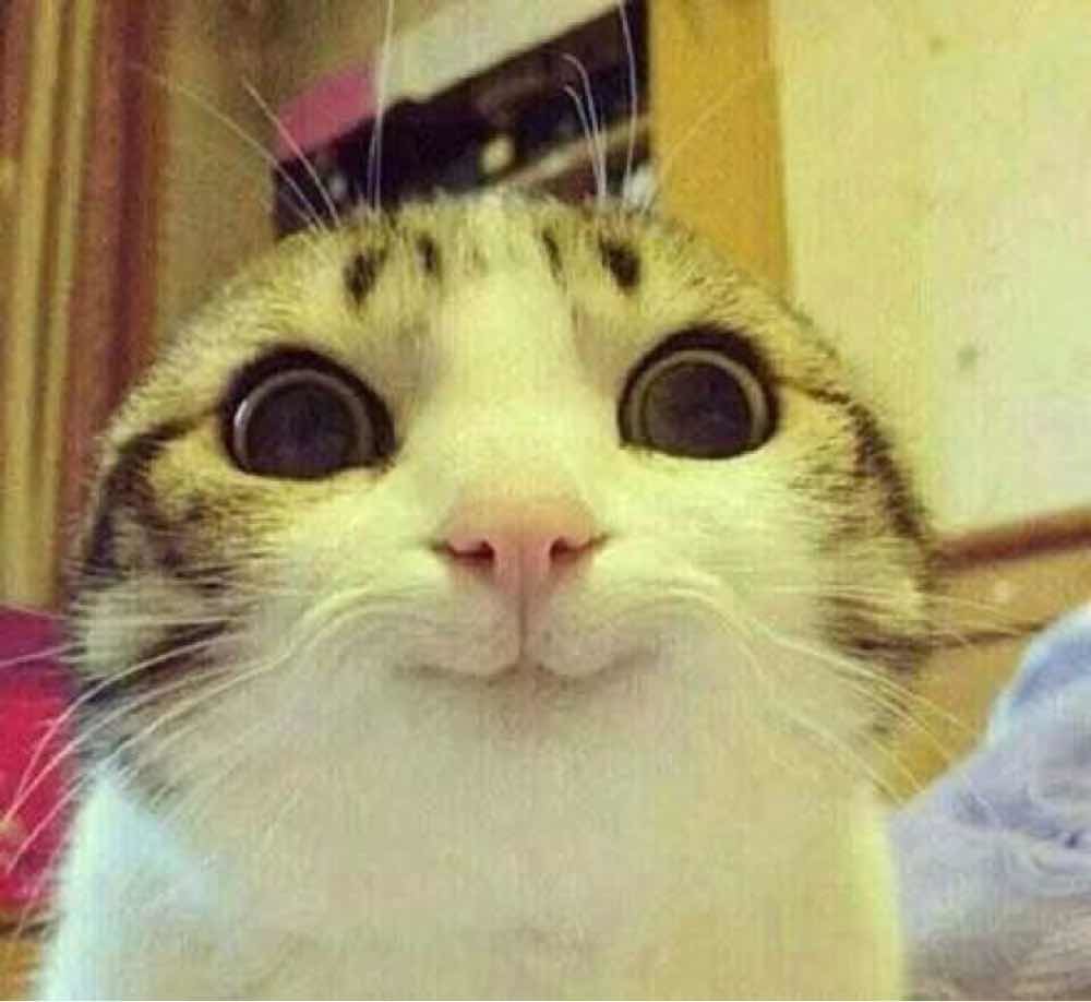 head-img