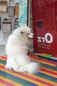 Tianyouwan baseLITE佰舍服務式公寓（上海浦東張江店）優惠