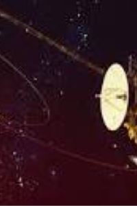 chenlin99 深圳桔釣沙萊華度假飯店優惠