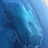 Avatar 2