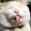 Avatar 1