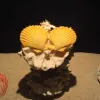 Avatar 2