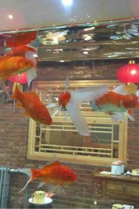 Annie 福岡運河城華盛頓飯店優惠
