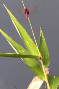 320814**** 天津濱江道恆隆廣場亞朵S飯店優惠