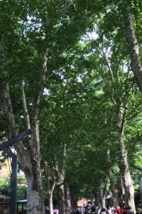 Mengmixue 深圳南山蛇口CitiGO歡閣酒店優惠