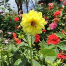 _CFT010000000202****