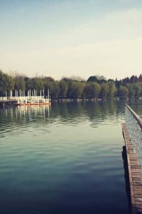 Fenyuanqiqi 和の宿ホテル祖谷温泉 クーポン