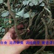 Shabayuanshengtaihuiguan 泗水瓦薩飯店優惠