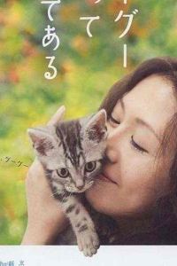 Leion ラ・ジェント・ホテル新宿歌舞伎町 クーポン