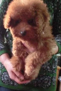 Hengshanaimei 普陀山大飯店·般若精舍樓優惠