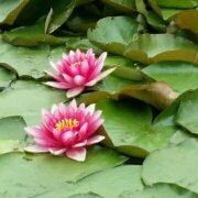 M19908**** DEL style 大阪心齋橋飯店 by 大和ROYNET優惠