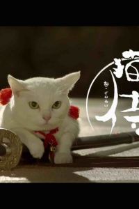 yori**** 錦江都城經典上海南京路步行街南京飯店優惠