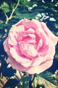 ItchyLai 華美達華麗酒店優惠