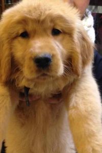 Zhongchengxiaoweishichuchaxiaodaren 24K國際連鎖飯店（上海人民廣場店）優惠