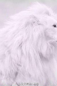 M11051**** 曼谷茉莉花度假飯店優惠