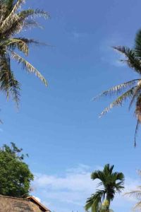 M19059**** 富良野ナチュラクスホテル クーポン