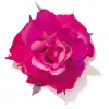 user-icon