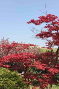 Zhenzi 如家商旅酒店（佛山順德大良客運總站鳳城食都店）優惠