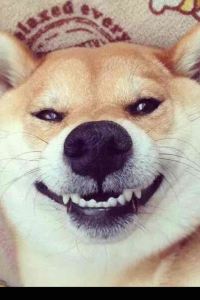 jessicalnj 清邁星星酒店優惠