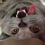 Baobeibingbing 奈亞飯店（廣州白雲國際機場人和地鐵站店）優惠