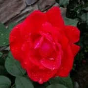 user-avatar