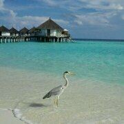 morningstar 連雲港金陵雲台賓館優惠