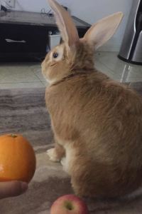 _M1583058**** 上海新天地地鐵站亞朵飯店優惠