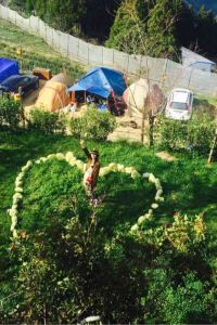 M3629**** 曼谷暹羅凱賓斯基酒店優惠