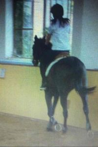 Fresh Air 深圳中洲萬豪酒店優惠