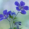 Avatar 1
