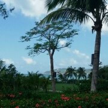 lynlin0913 ホテル阪神アネックス大阪 クーポン