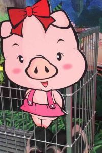 Christy 態飯店（長沙五一廣場IFS國金中心店）優惠